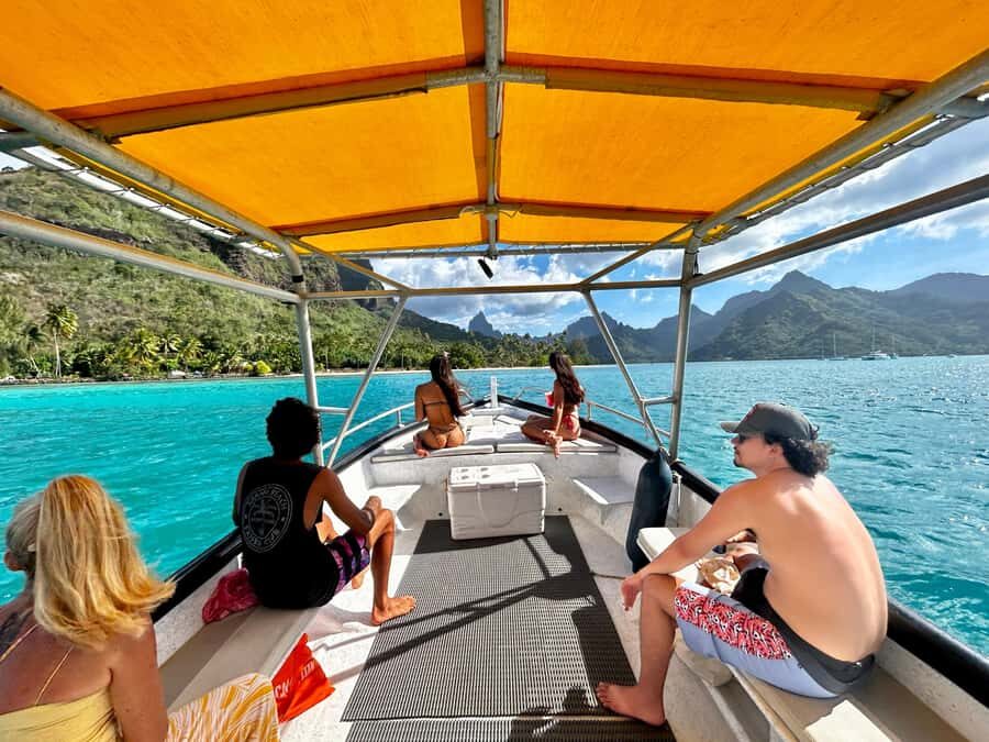 Moorea 4H Shared Boat Tour Whale Swimming and Snorkeling - What you do after the whales: stingrays, blacktip sharks, and turtles