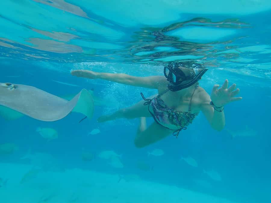 Moorea 4H Shared Boat Tour Whale Swimming and Snorkeling - What to pack for a wet, sun-heavy whale day