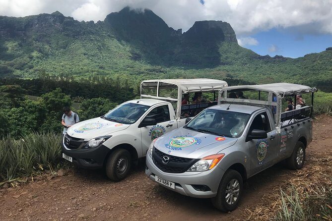 Moorea 4WD Tour Inc. Belvedere, Pineapple Farm, Magic Mountain... - Key Things You Should Know Before You Go