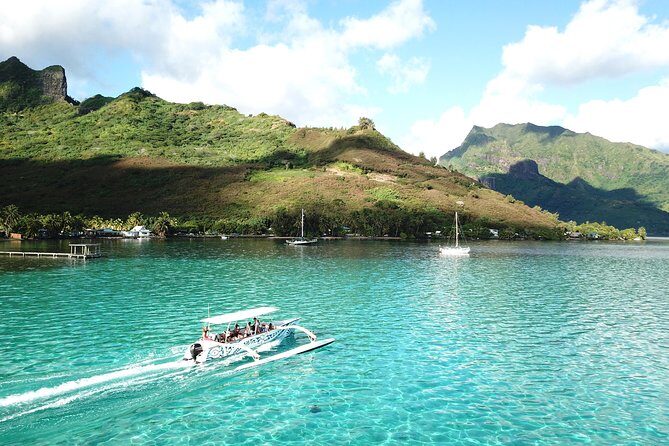 Moorea 6-Hour Snorkeling and Lunch Shared Tour - Shallow-water snorkeling with stingrays and black-tip reef sharks
