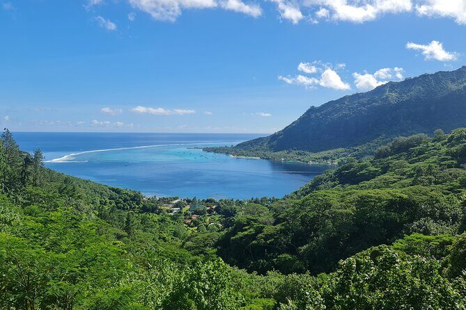 Moorea Aito 4WD Safari Tour - Half day - Rotui factory, eels, and jam tastings: small stops that add flavor