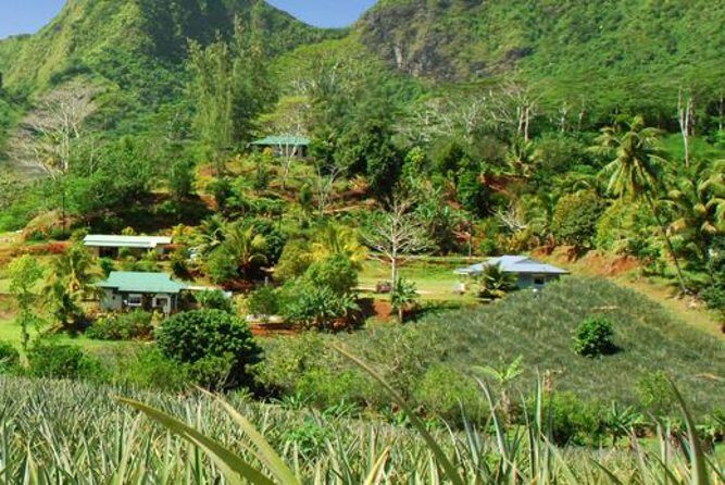 Moorea Aito 4WD Safari Tour - Half day - What to bring (and what to skip) so the day feels easy