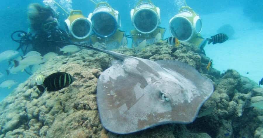 Moorea: Aquablue Helmet Underwater Walking Experience - Key Highlights You’ll Care About