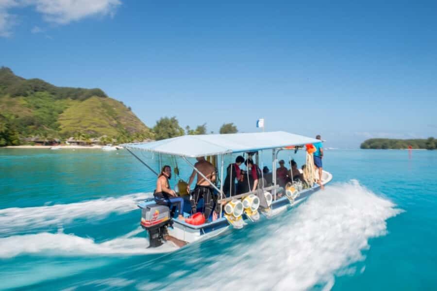 Moorea: Aquablue Helmet Underwater Walking Experience - Why This Helmet Walk in Moorea Feels So User-Friendly