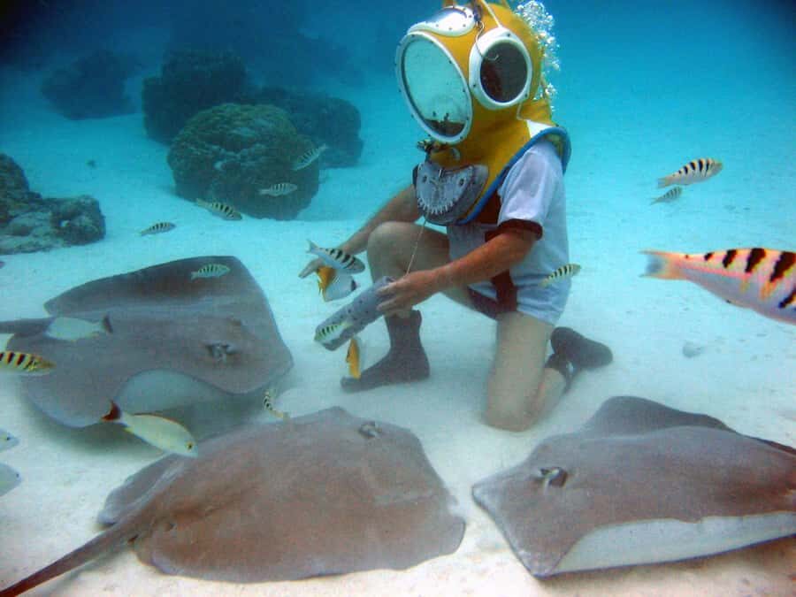 Moorea: Aquablue Helmet Underwater Walking Experience - The Lagoon Route: Motu Fareone or Papetoï Depending on the Day