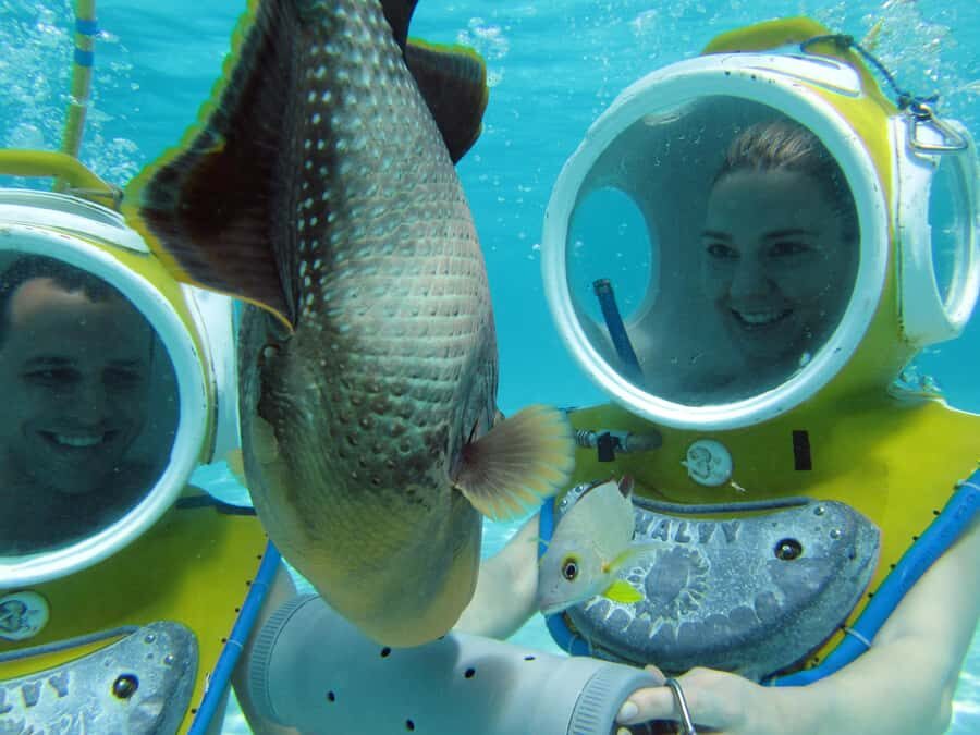 Moorea: Aquablue Helmet Underwater Walking Experience - What You’ll See Underwater at About 12 Feet