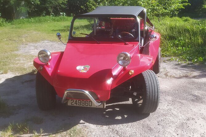 Moorea Buggy Rental - Key Highlights You’ll Care About