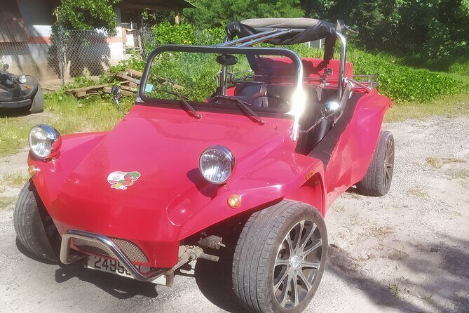 Moorea Buggy Rental - The Roadster Experience: Cute, Open-Air, and Very Moorea