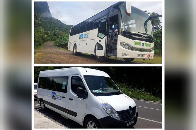 Moorea Buggy Rental - The Best Fit: Who This Rental Works For