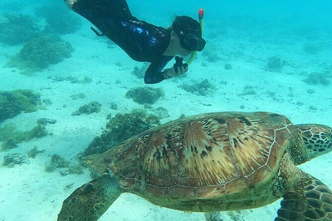 Moorea Combo 3 hours Jet Ski & 3 hours 30 ATV - Who This Moorea Combo Is Best For