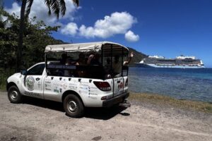 Moorea Cruise Ships: 4x4, Belvedere, Pineapple, & Magic Mountain - Belvedere Lookout Stop: History, Flora, and First Views