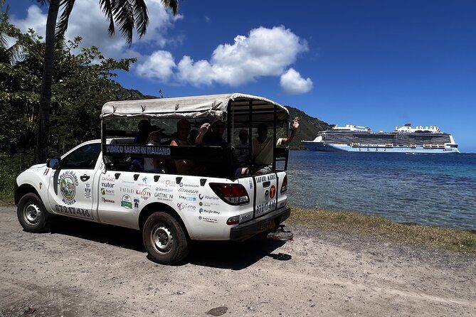 Moorea Cruise Ships: 4x4, Belvedere, Pineapple, & Magic Mountain - Belvedere Lookout Stop: History, Flora, and First Views