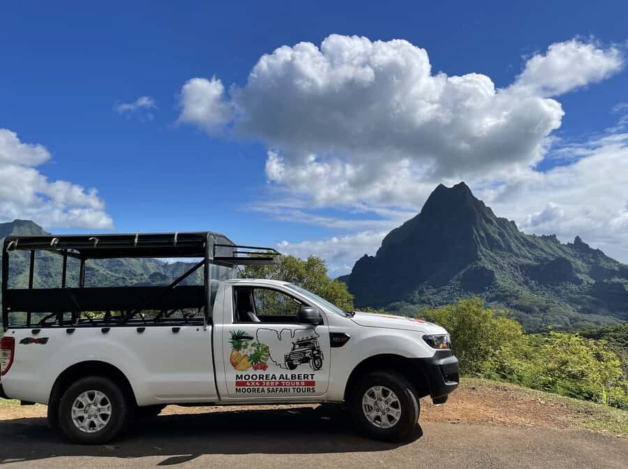 Moorea Cruise Ships: 4x4, Belvedere,Magic Mountain pineaple - Freshwater Eels and River Feeding: The Moment That Feels Most Real