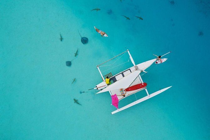 Moorea Discovery Half-day Sailing - Key things to know before you go