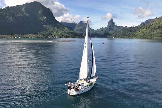 Moorea Discovery Half-day Sailing - Price and Value: Is $115 a Fair Deal?