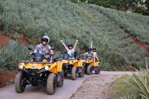 Moorea Explorer Atv Quad Tour - Small-group size, pickup, and how the 3.5 hours feel