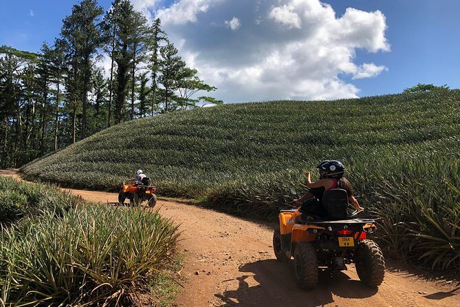 Moorea Explorer Atv Quad Tour - What the guide experience adds (and why it feels personal)