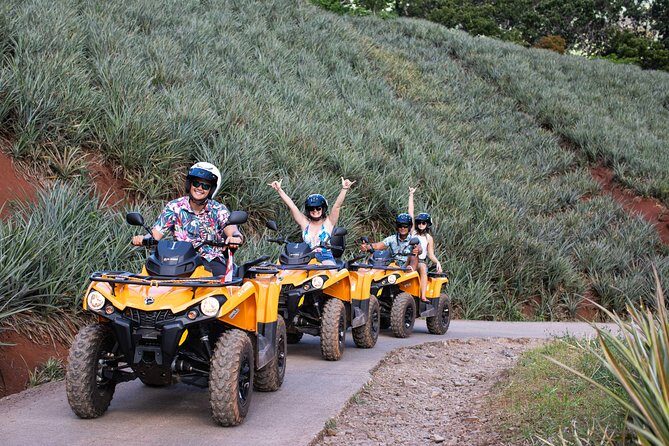 Moorea Explorer Atv Quad Tour - Small-group size, pickup, and how the 3.5 hours feel