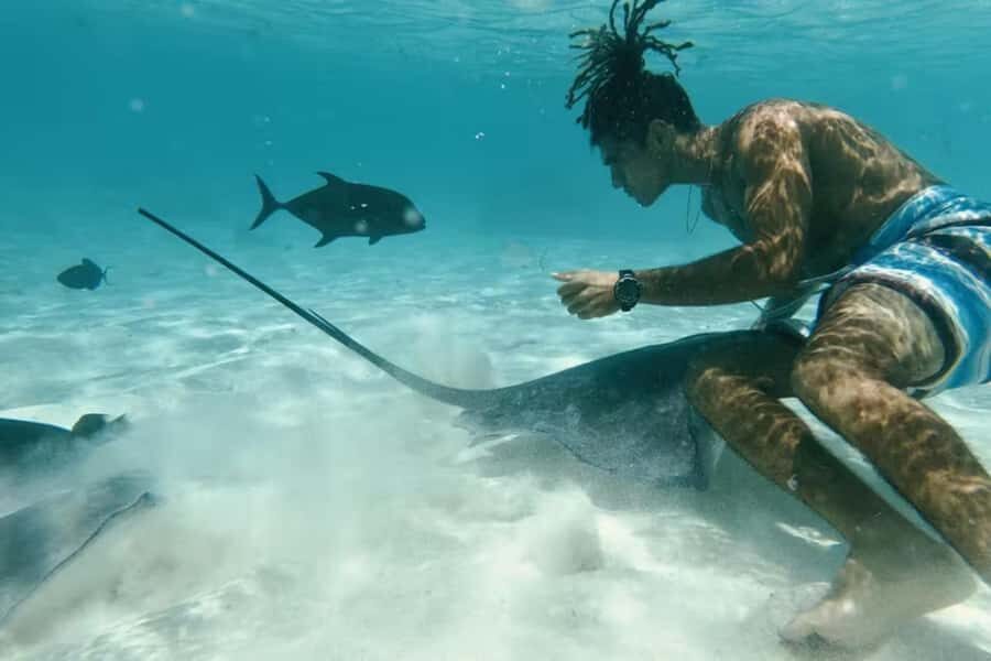 Moorea: Glass Bottom Boat Adventure with Lagoon Wonders - Turtle Sanctuary Start: Ohure Pio and the Best First Swim
