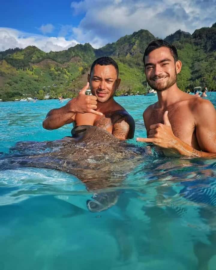 Moorea: Glass Bottom Boat Adventure with Lagoon Wonders - Grey Rays and Black-Tip Reef Sharks at the Sand Bar