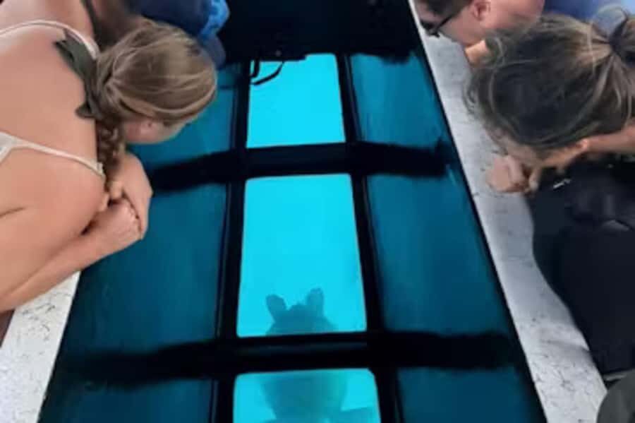 Moorea: Glass Bottom Boat Adventure with Lagoon Wonders - Underwater Tiki Sculptures: Sacred Sea Art With a Cultural Purpose