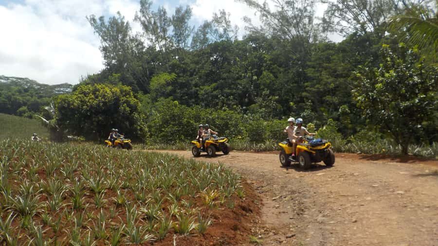 Mo'orea: Guided ATV Nature Tour - Key things I’d bet on before you book