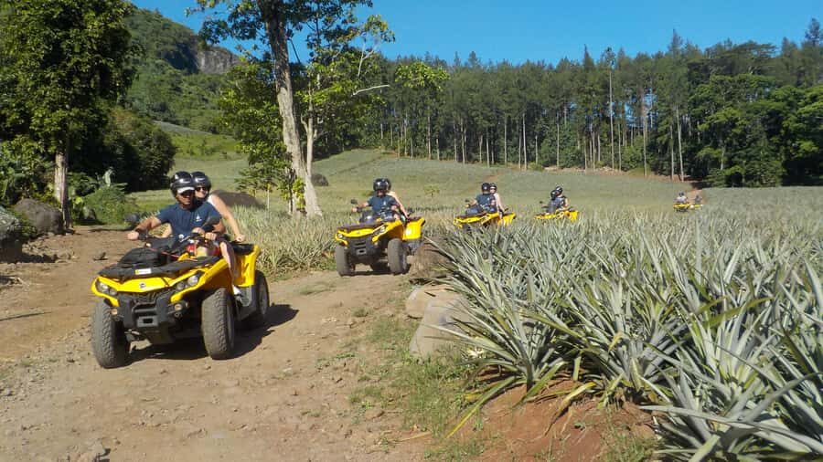 Mo'orea: Guided ATV Nature Tour - Opunohu Valley: plantations, rivers, and the real island rhythm