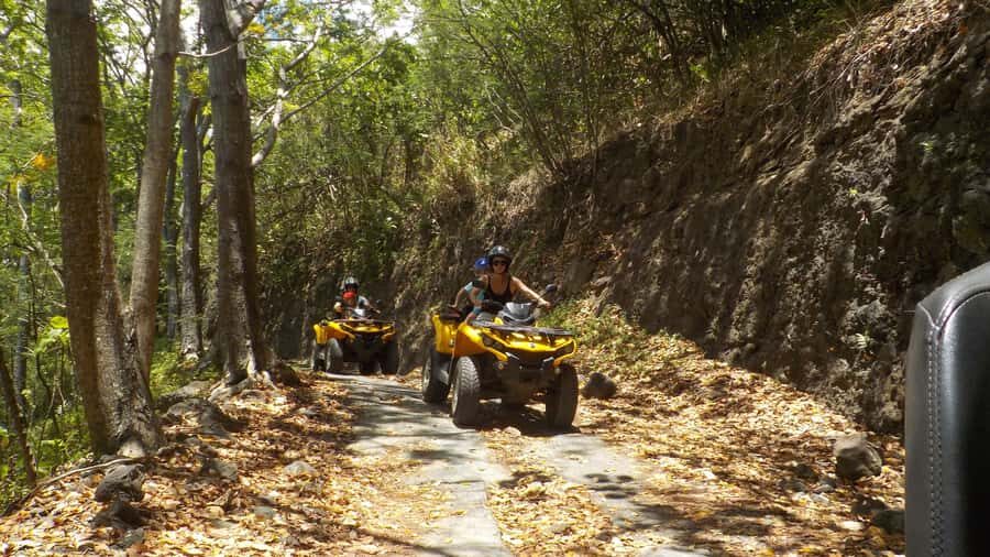 Mo'orea: Guided ATV Nature Tour - Pineapple fields and agricultural stops: what you’re actually learning