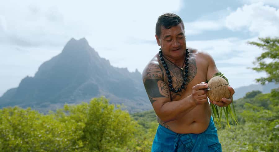 Moorea: Half-Day Open-Air 4WD Safari with Hotel Transfers - Cook’s Bay: viewpoints, the swing photo, and Magic Cook’s Bay