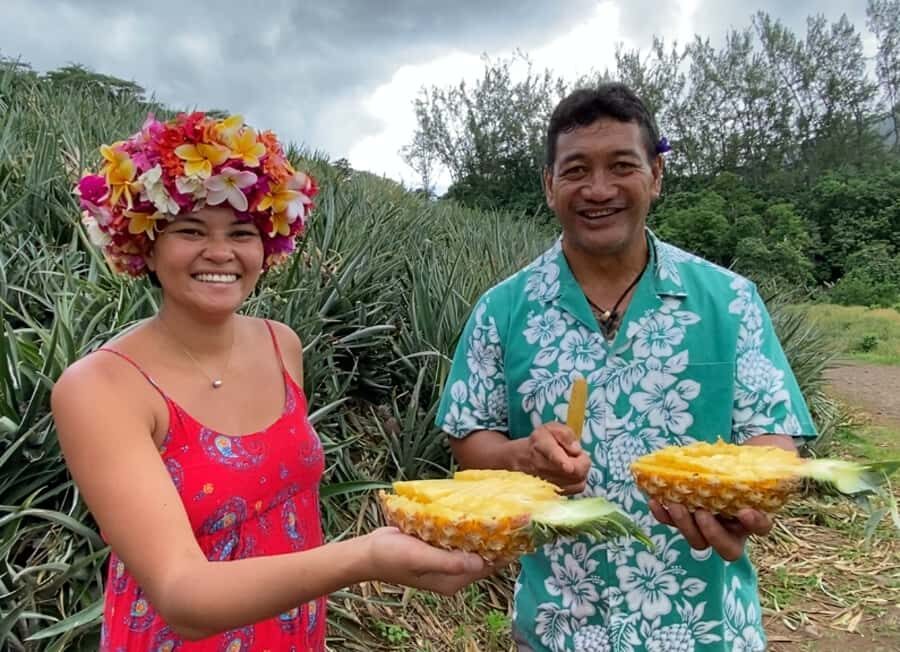 Moorea: Half-Day Open-Air 4WD Safari with Hotel Transfers - Price and value: is $70 worth 3.5 hours of Moorea?