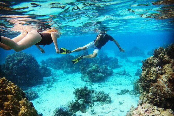 Mo'orea Half Day Private Tour with Snorkeling and Cruising the Lagoon - Key Points to Know Before You Go