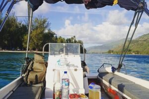 Mo'orea Half Day Private Tour with Snorkeling and Cruising the Lagoon - Stop 1: Turtles Spot First, Including a Try-At-the-Water Moment