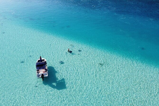 Mo'orea Half Day Private Tour with Snorkeling and Cruising the Lagoon - Dolphins, Surfers, Fruits, and Drinks: The Relaxed Finish