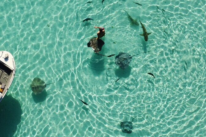 Mo'orea Half Day Private Tour with Snorkeling and Cruising the Lagoon - Why the Custom Private Guide Format Makes This Worth It