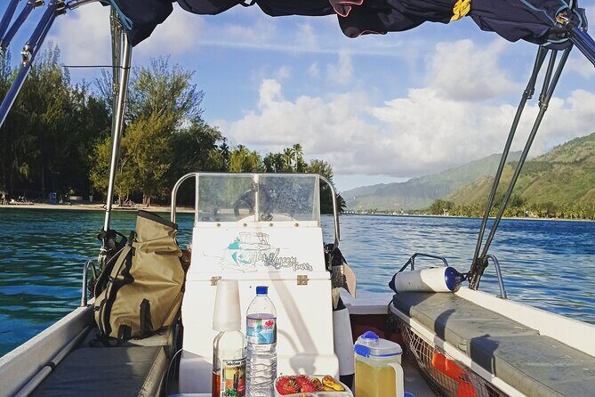 Mo'orea Half Day Private Tour with Snorkeling and Cruising the Lagoon - Stop 1: Turtles Spot First, Including a Try-At-the-Water Moment