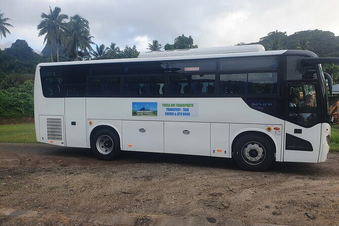 Moorea Island Tour - Getting Picked Up: Port Transfers and the Reality of the Bus Ride