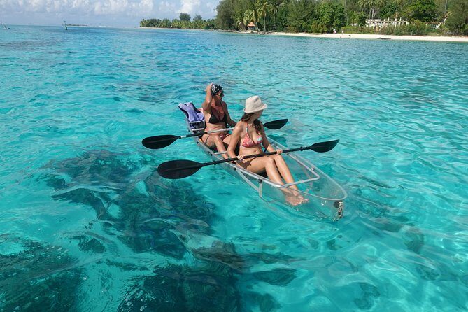 Moorea Lagoon Tour by Transparent Kayak - Snorkeling With Sharks and Stingrays: What to Expect in Real Terms