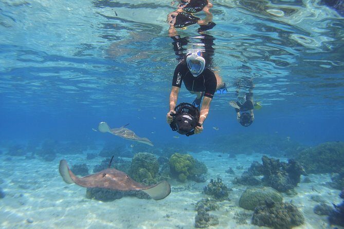 Moorea Private Boat Tour / Sea Scooter Snorkeling Tour - The Boat + Lagoon Session: Reef Time Powered by the Scooter