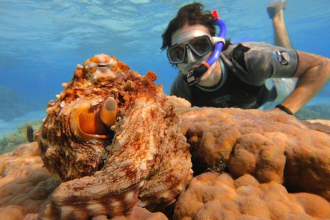 Moorea Private Boat Tour / Sea Scooter Snorkeling Tour - Full-Face Snorkel Masks and Wetsuits: Comfort That Matters