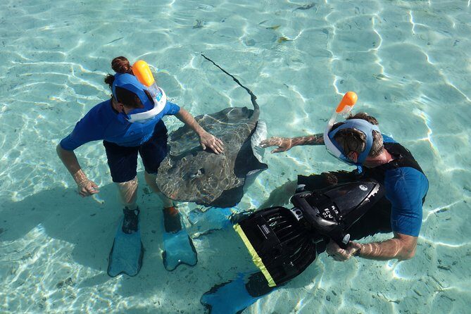 Moorea Private Boat Tour / Sea Scooter Snorkeling Tour - Who This Tour Fits Best (and Who Should Rethink It)