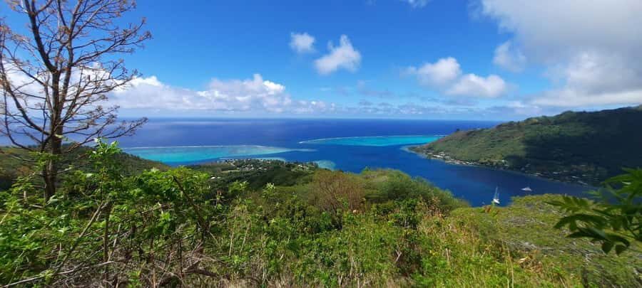 Moorea : Safari Nature and Culture Tour with local guide - Key highlights at a glance