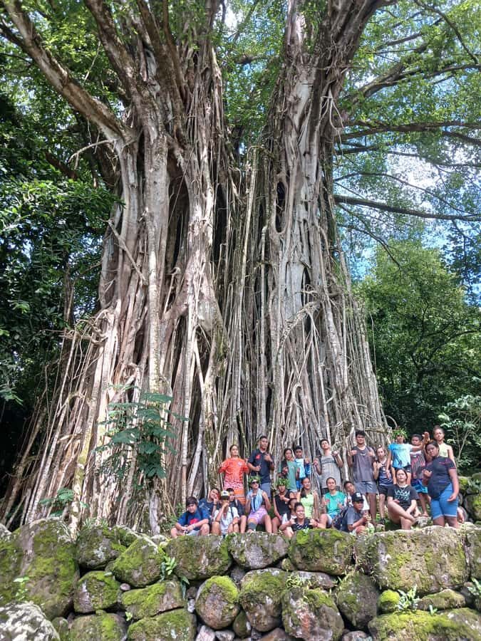 Moorea : Safari Nature and Culture Tour with local guide - Ōpūnohu archaeological site and the VR time jump