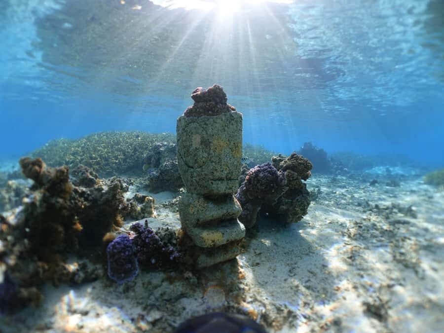 Moorea: Sea Scooter Snorkeling Tour - Getting the best day: practical tips for weather, comfort, and spotting