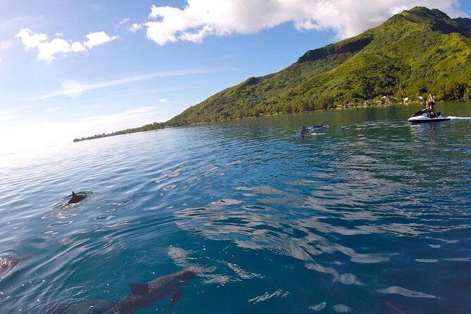 Moorea Solo or Twin 3 hours Jet Ski Tour - Stingrays and Sharks Snorkel: Safety, Control, and What to Prepare For