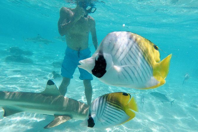 Moorea Solo or Twin 3 hours Jet Ski Tour - What I’d Pack (and What to Skip)