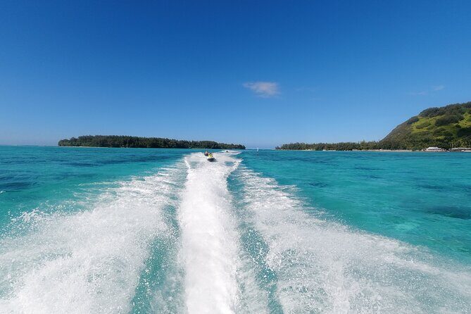 Moorea Solo or Twin Island Tour Jet Ski 4 hours - Moorea Dolphin Center: wildlife viewing time with structure