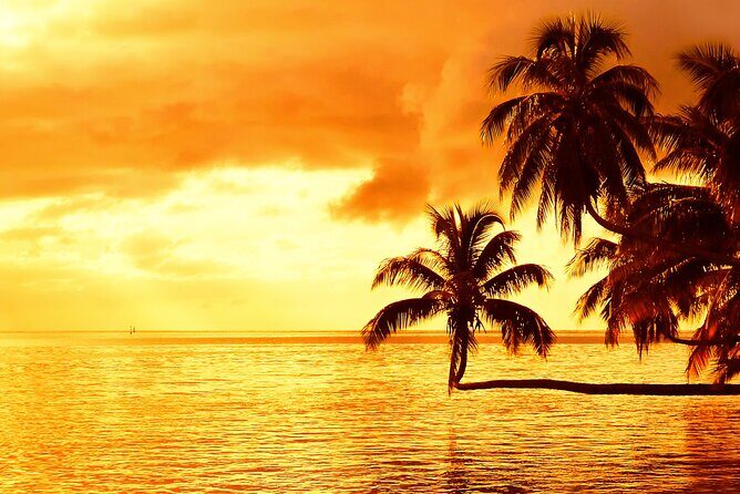 Moorea Sunset Boat Trip - Where to meet at Quai des croisières (and how to plan your evening)