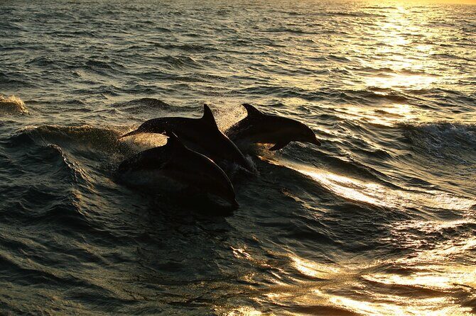 Moorea Sunset Boat Trip - Weather reality checks: clouds, cancellations, and getting flexible