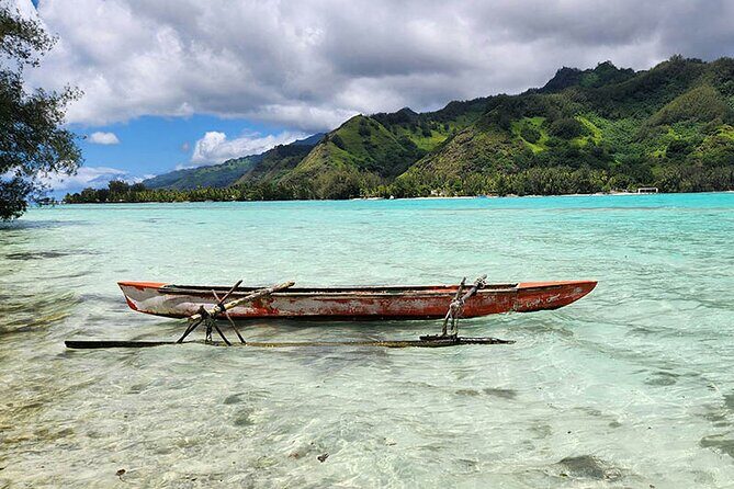 Moorea tour in electric citycoco (in autonomy) - Price and value: what $73.17 covers (and what it doesn’t)