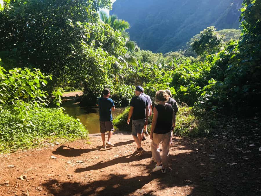 Moorea:4X4 safari excursion between land and sea with lunch - Magic Mountain and the bay views: the first big payoff